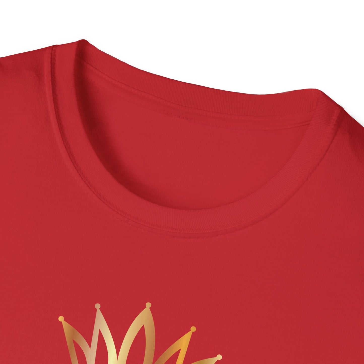Queen Of Hustle, Millionaire Mindset: Success Shirt, Money Mindset Shirt, Small Business Shirt, Entrepreneur Shirt, Success Mindset Shirt, Money Shirt, Boss Babe Shirt, Success Shirt, Addicted To Success T-Shirt