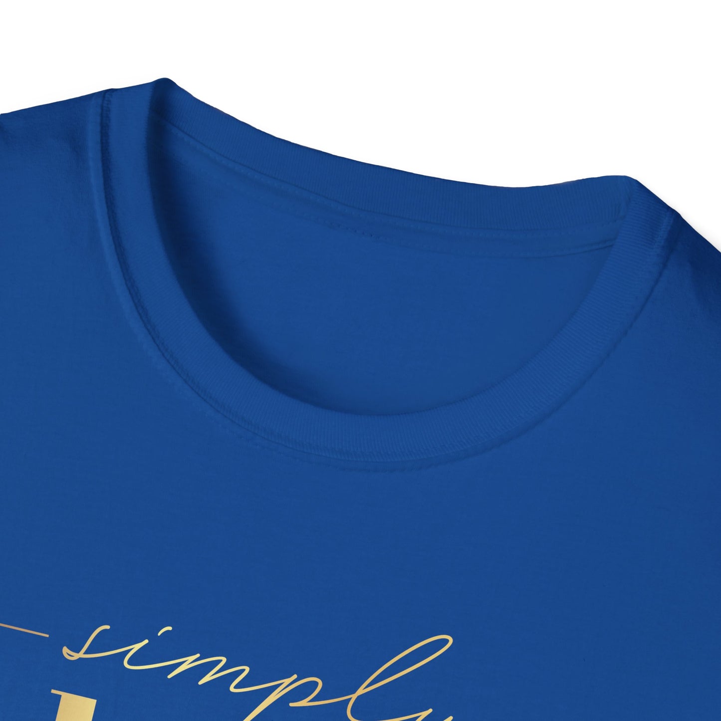 Simply Blessed, Millionaire Mindset: Success Shirt, Money Mindset Shirt, Small Business Shirt, Entrepreneur Shirt, Success Mindset Shirt, Money Shirt, Boss Babe Shirt, Success Shirt, Addicted To Success T-Shirt
