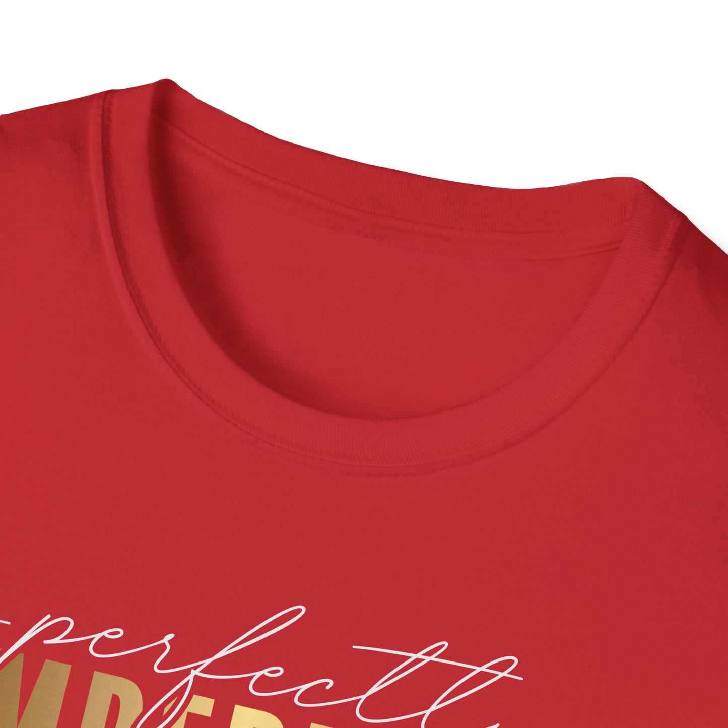 Perfectly Imperfect, Millionaire Mindset: Success Shirt, Money Mindset Shirt, Small Business Shirt, Entrepreneur Shirt, Success Mindset Shirt, Money Shirt, Boss Babe Shirt, Success Shirt, Addicted To Success T-Shirt