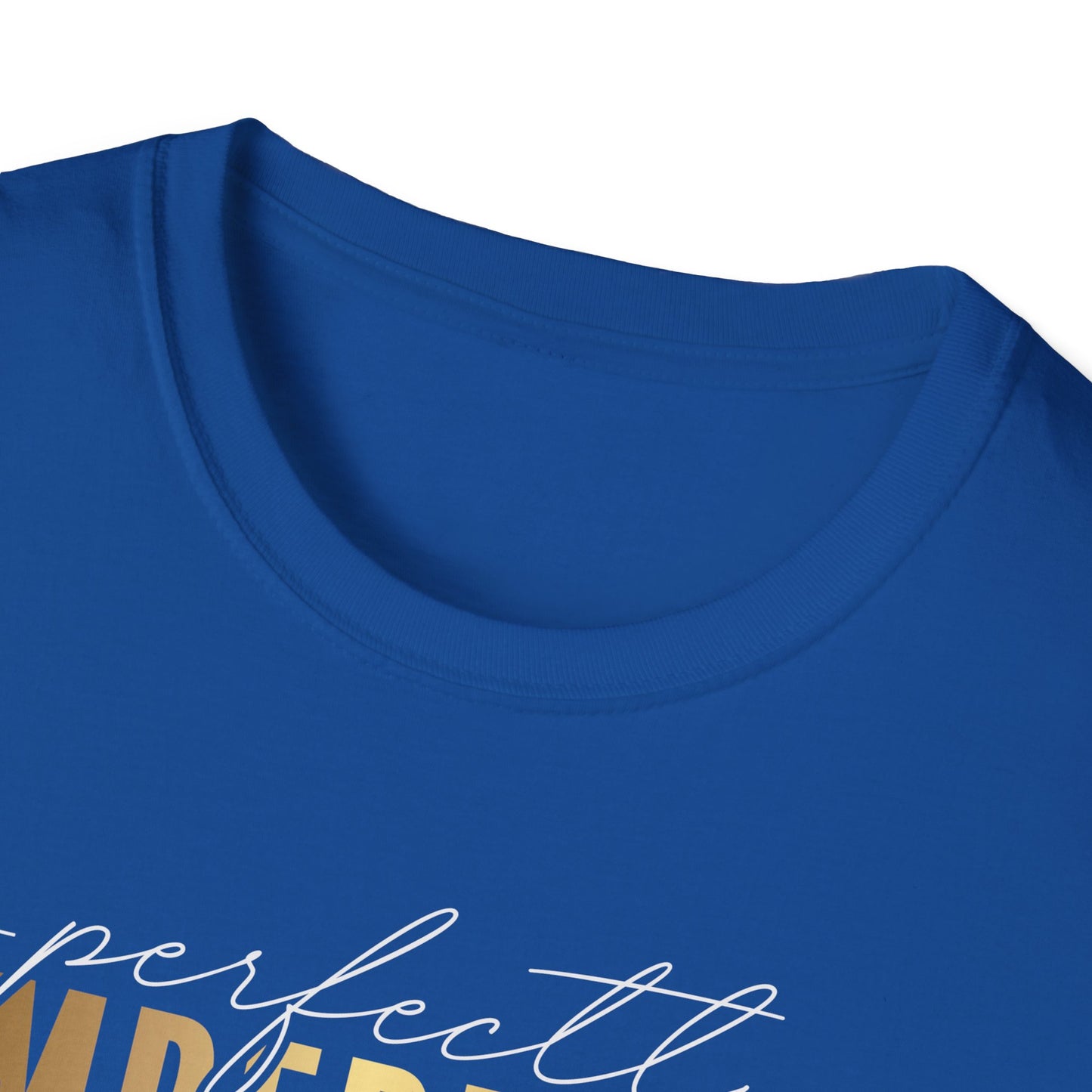 Perfectly Imperfect, Millionaire Mindset: Success Shirt, Money Mindset Shirt, Small Business Shirt, Entrepreneur Shirt, Success Mindset Shirt, Money Shirt, Boss Babe Shirt, Success Shirt, Addicted To Success T-Shirt