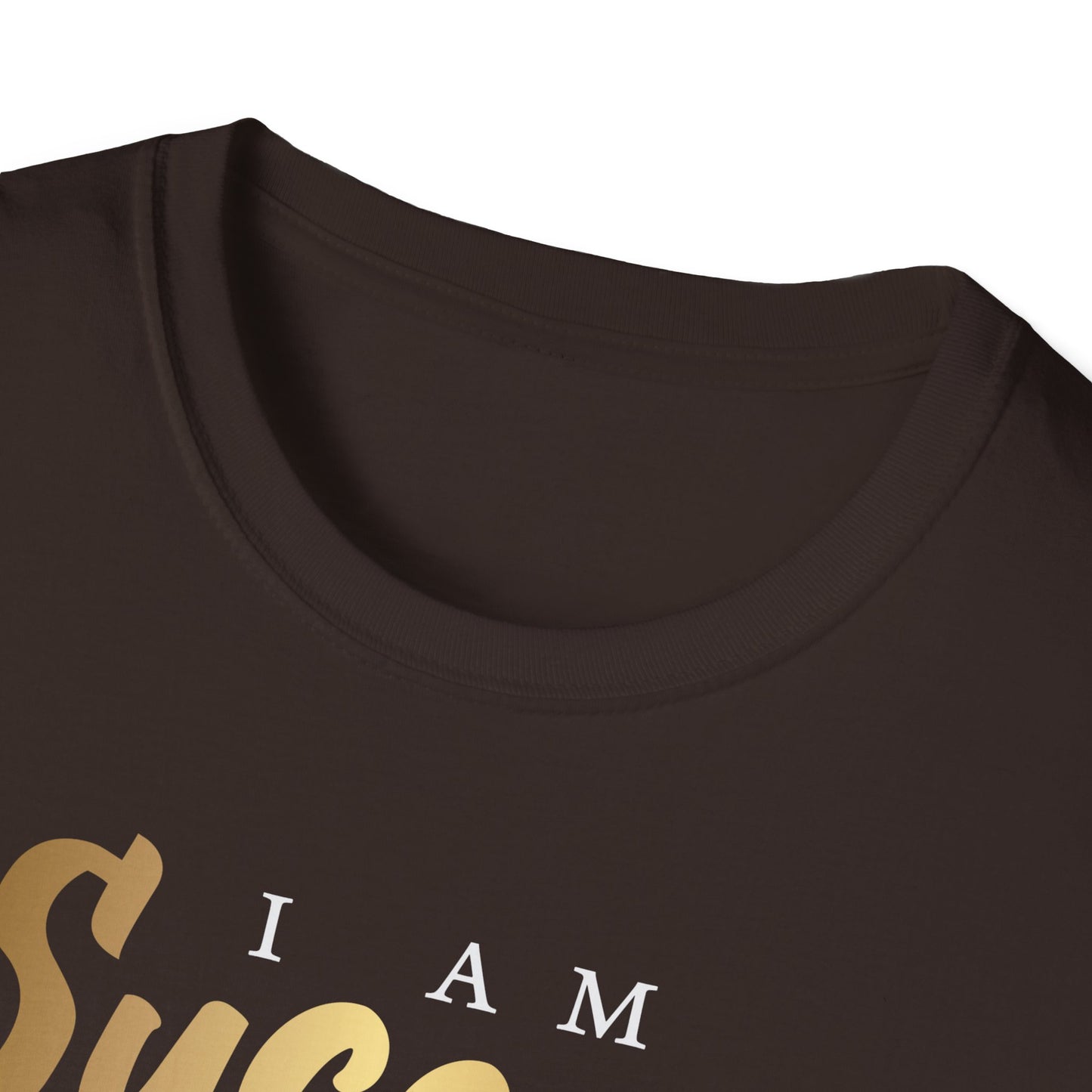 I Am Success, Inspirational Gift, Inspirational T-Shirt Gift, Trust in Yourself T-Shirt, Inspire T-shirt, Motivational T-Shirts, Inspirational T-Shirt Gift, Inspire, Dream Create Share T=Shirt Gift, Tee Gift