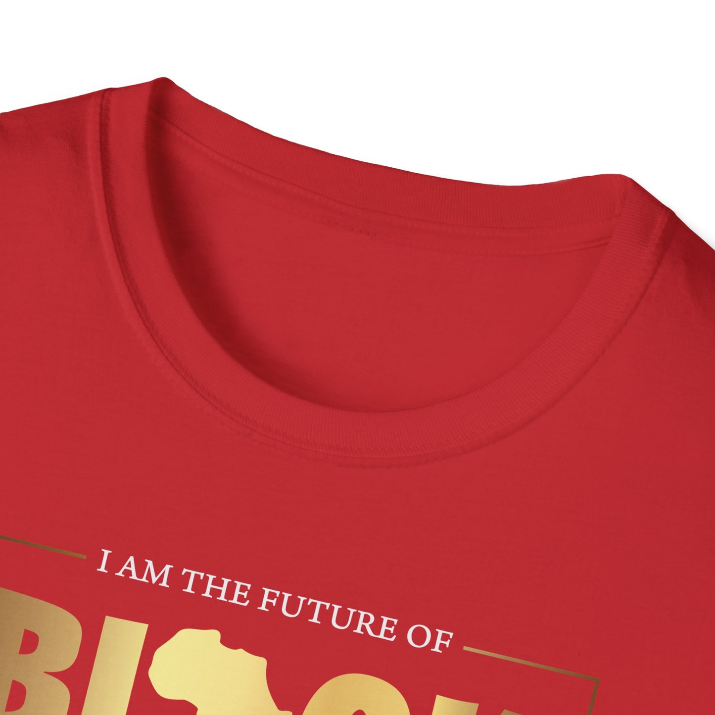 I Am The Future Of Black History, Inspirational Gift, Inspirational T-Shirt Gift, Trust in Yourself T-Shirt, Inspire T-shirt, Motivational T-Shirts, Inspirational T-Shirt Gift, Inspire, Dream Create Share T-Shirt Gift, Tee Gift, Good Mood Shi