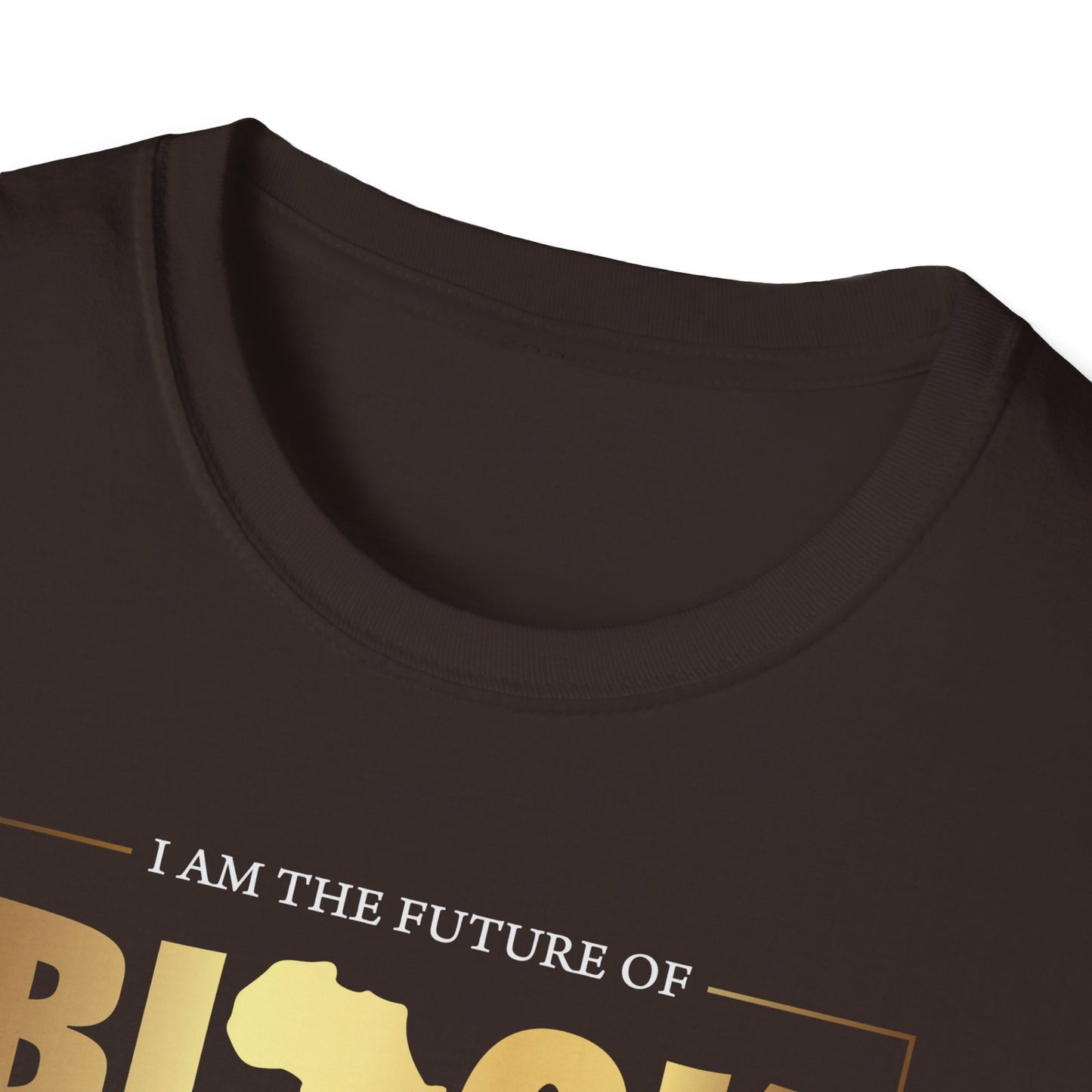 I Am The Future Of Black History, Inspirational Gift, Inspirational T-Shirt Gift, Trust in Yourself T-Shirt, Inspire T-shirt, Motivational T-Shirts, Inspirational T-Shirt Gift, Inspire, Dream Create Share T-Shirt Gift, Tee Gift, Good Mood Shi