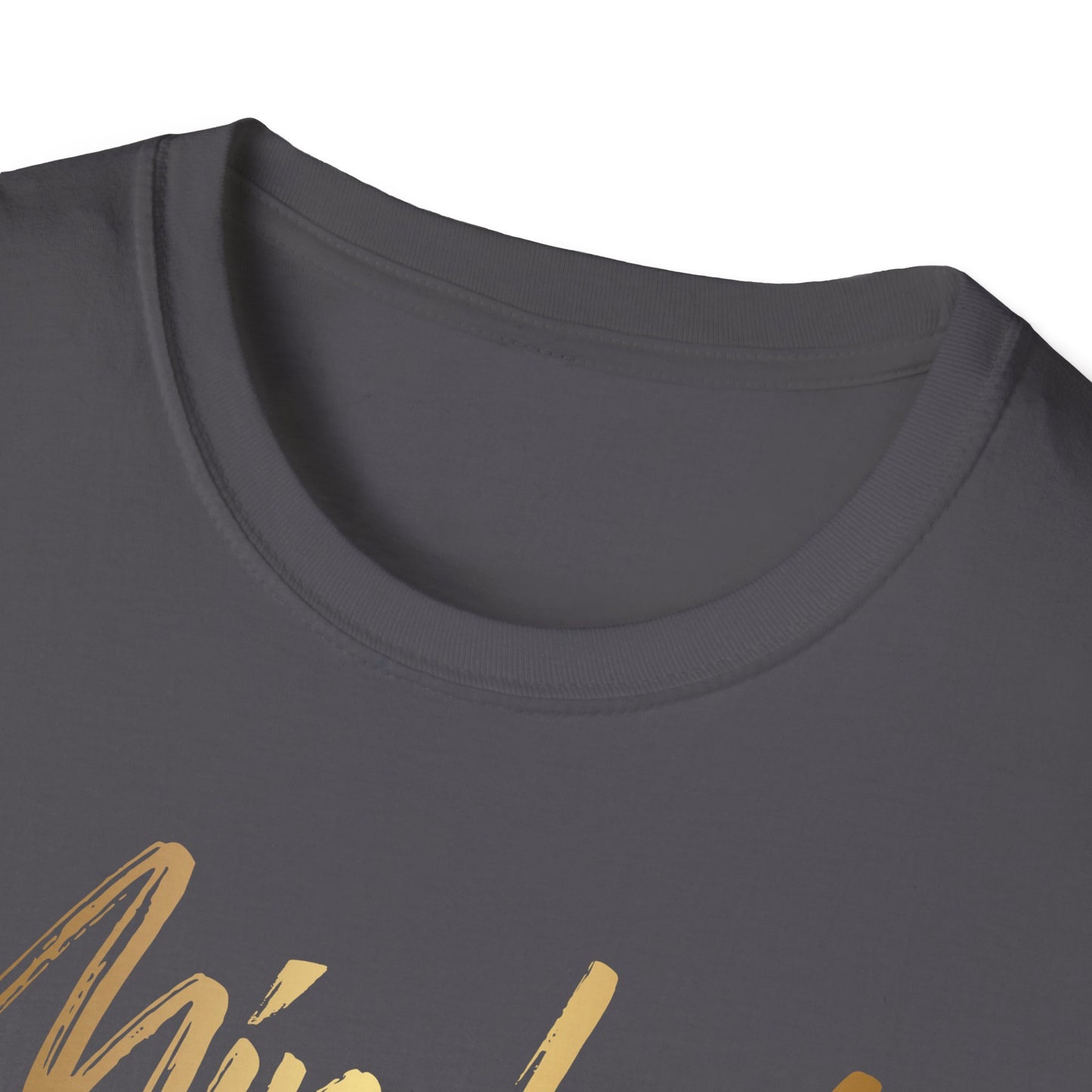 Mindset, Millionaire Mindset: Success Shirt, Money Mindset Shirt, Small Business Shirt, Entrepreneur Shirt, Success Mindset Shirt, Money Shirt, Boss Babe Shirt, Success Shirt, Addicted To Success T-Shirt