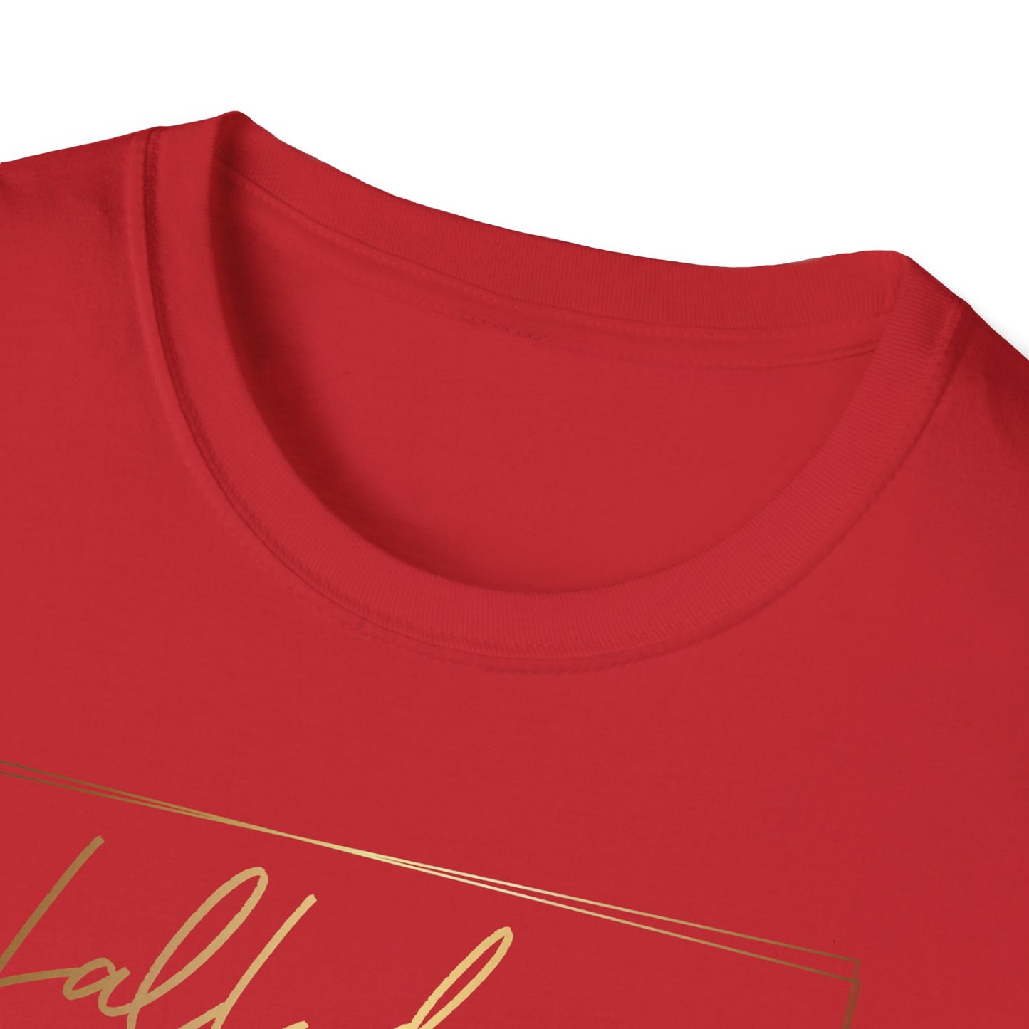 Fall Down Get Back Up, Inspirational Gift, Inspirational T-Shirt Gift, Trust in Yourself T-Shirt, Inspire T-shirt, Motivational T-Shirts, Inspirational T-Shirt Gift, Inspire, Dream Create Share T=Shirt Gift, Tee Gift