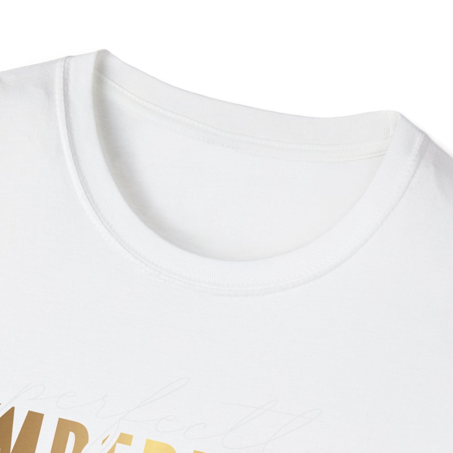 Perfectly Imperfect, Millionaire Mindset: Success Shirt, Money Mindset Shirt, Small Business Shirt, Entrepreneur Shirt, Success Mindset Shirt, Money Shirt, Boss Babe Shirt, Success Shirt, Addicted To Success T-Shirt