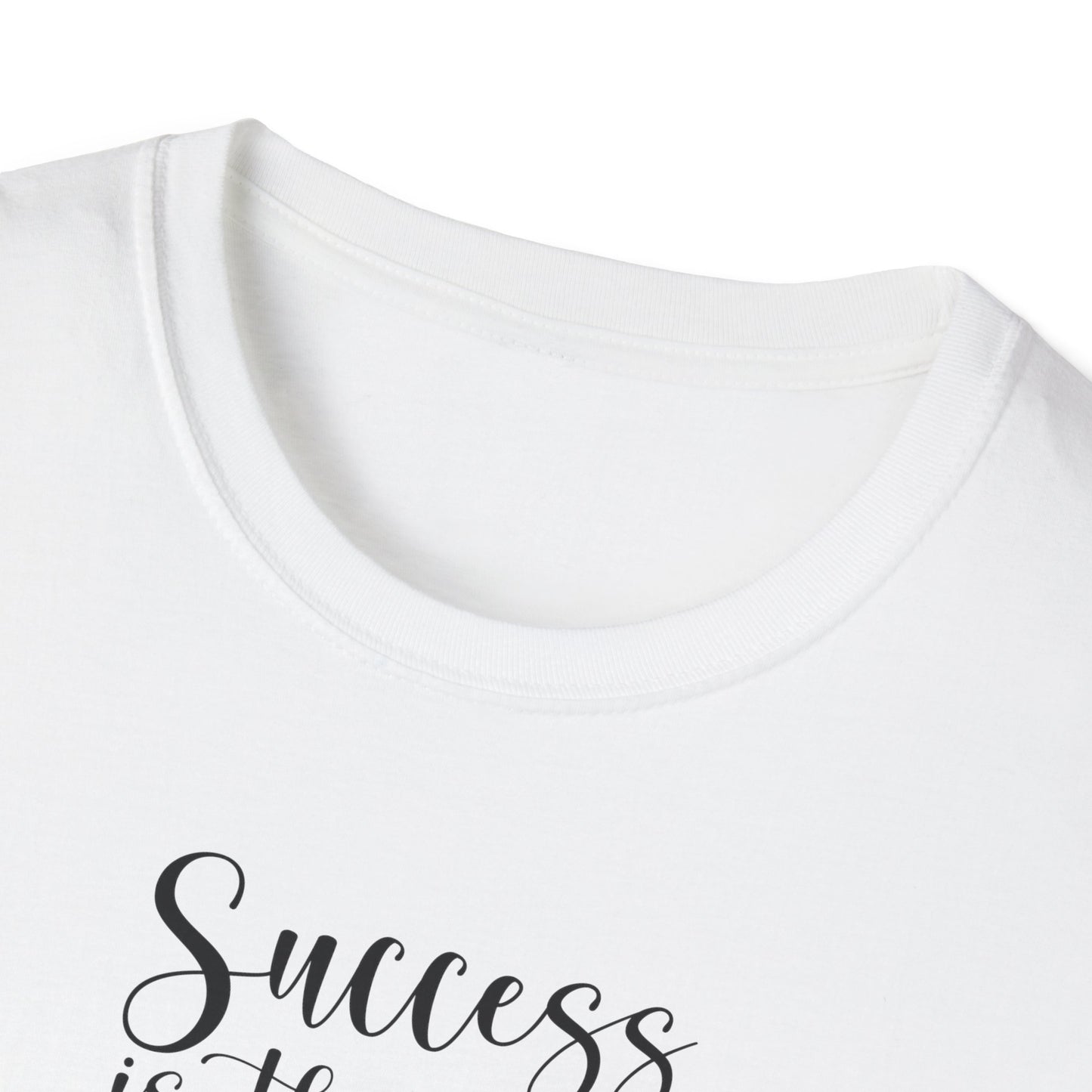 Success Is The Best Revenge