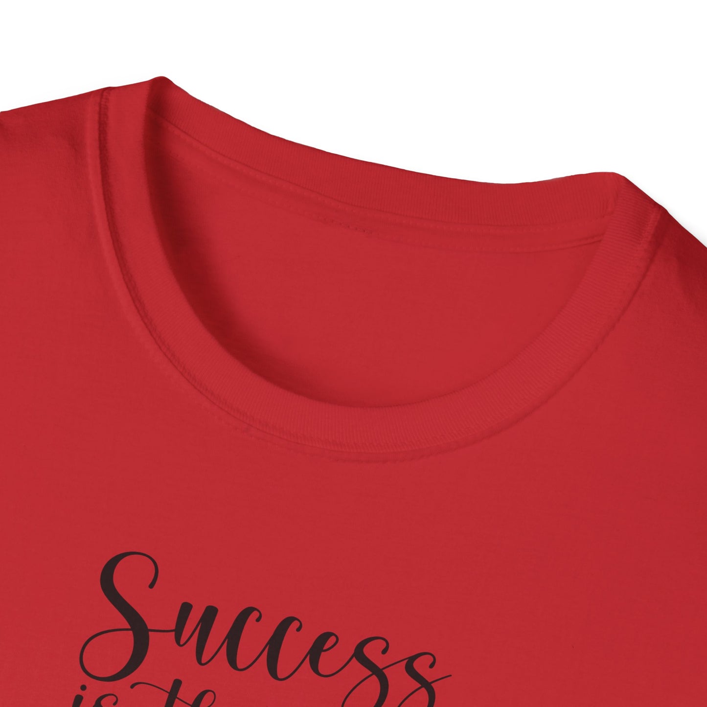 Success Is The Best Revenge