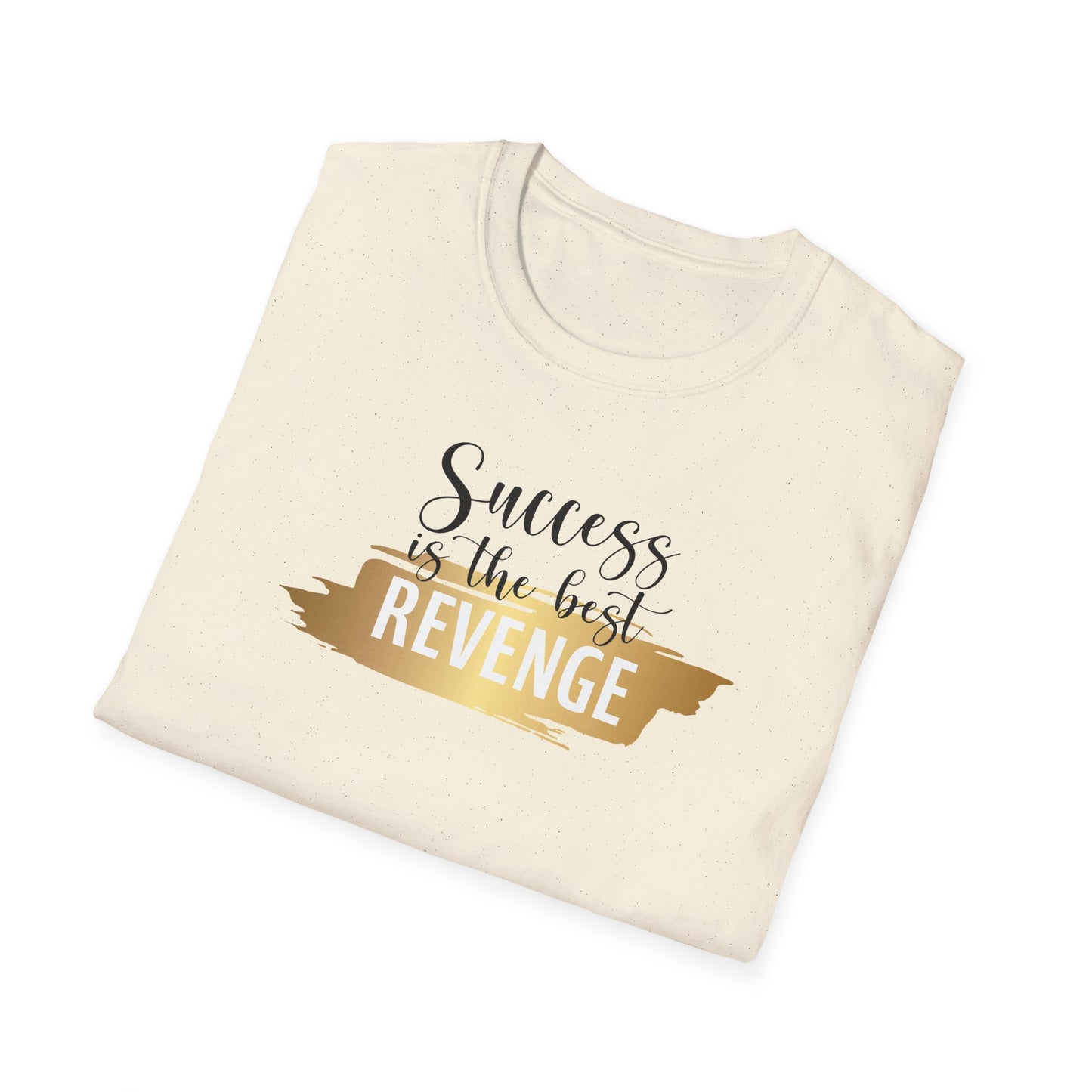 Success Is The Best Revenge