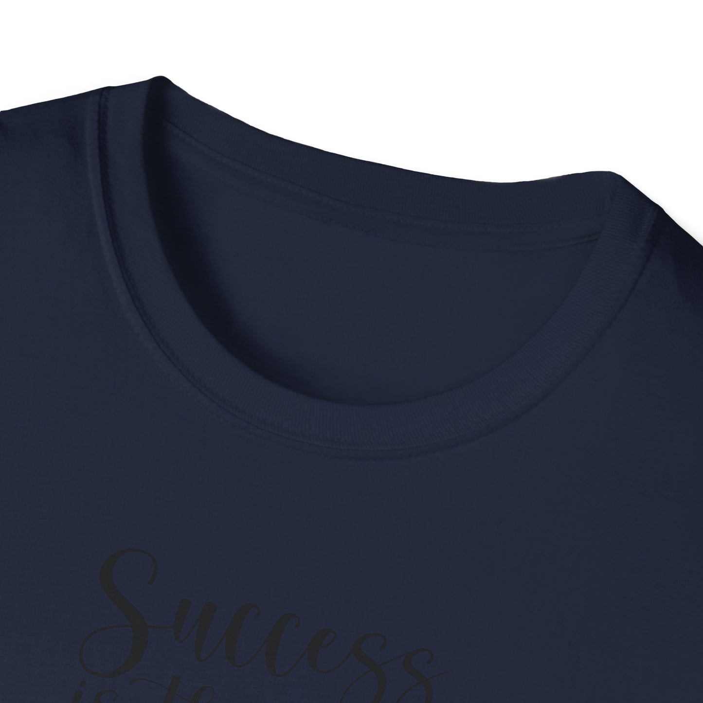 Success Is The Best Revenge