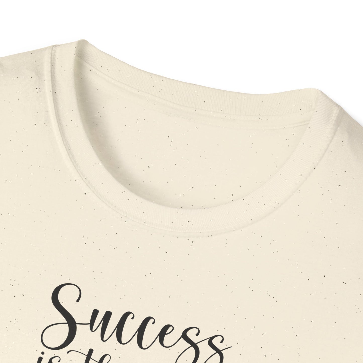 Success Is The Best Revenge