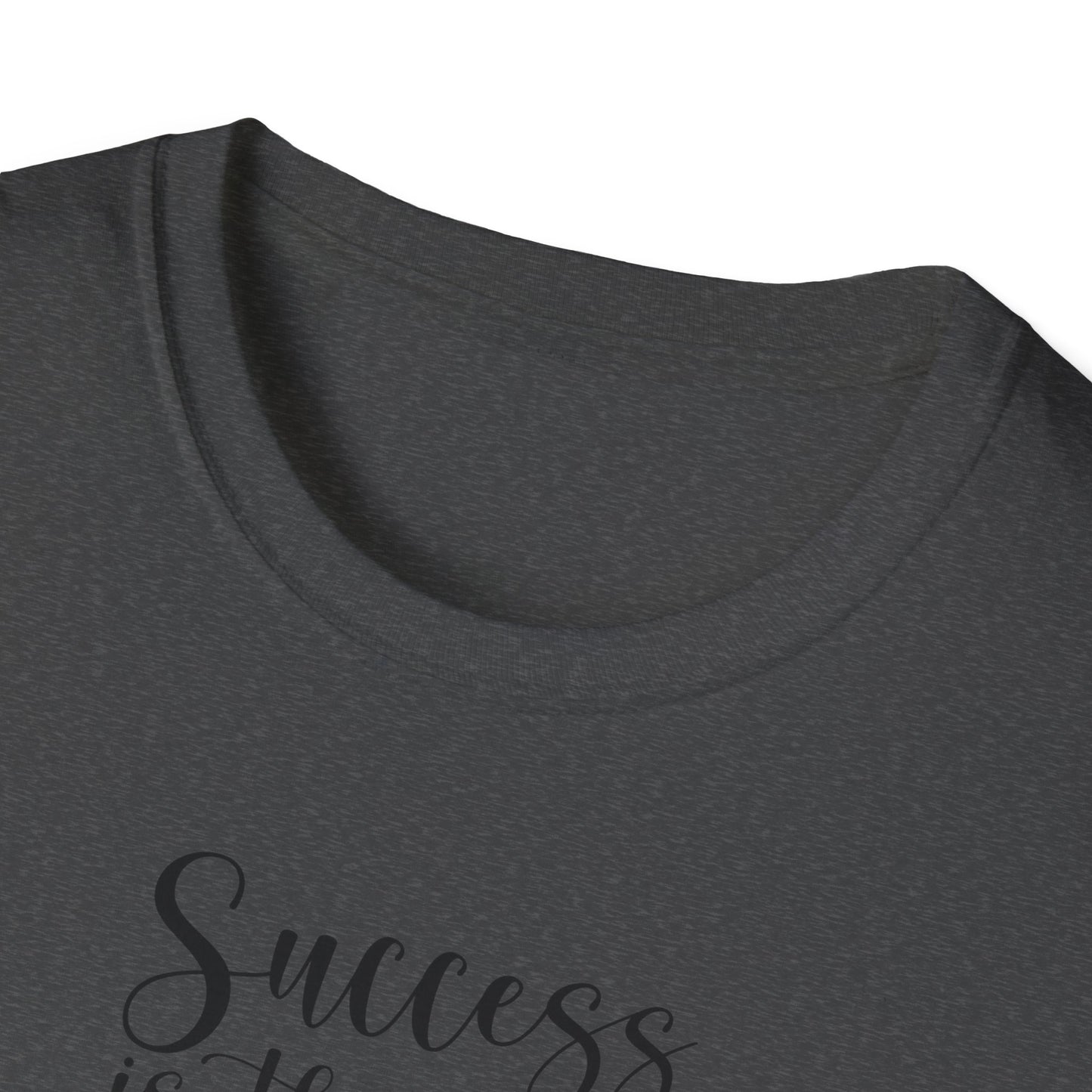 Success Is The Best Revenge