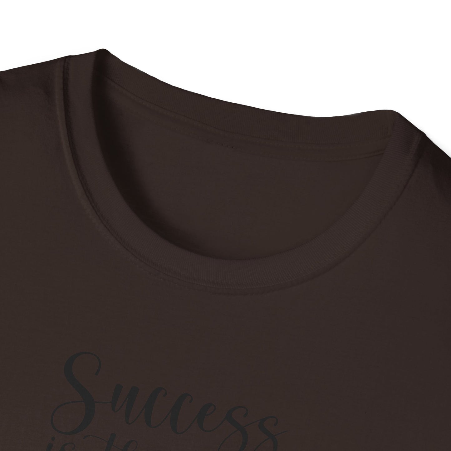 Success Is The Best Revenge