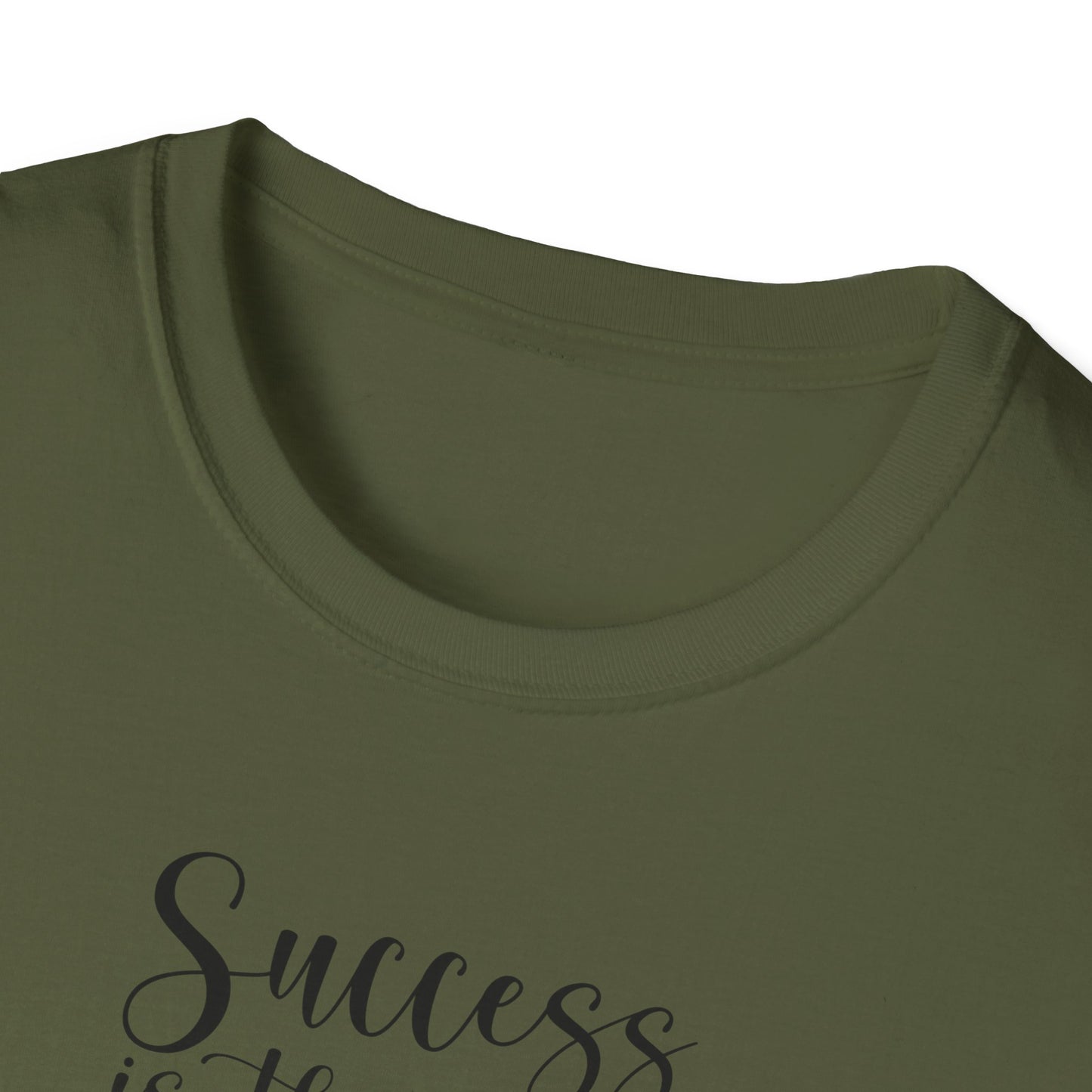 Success Is The Best Revenge