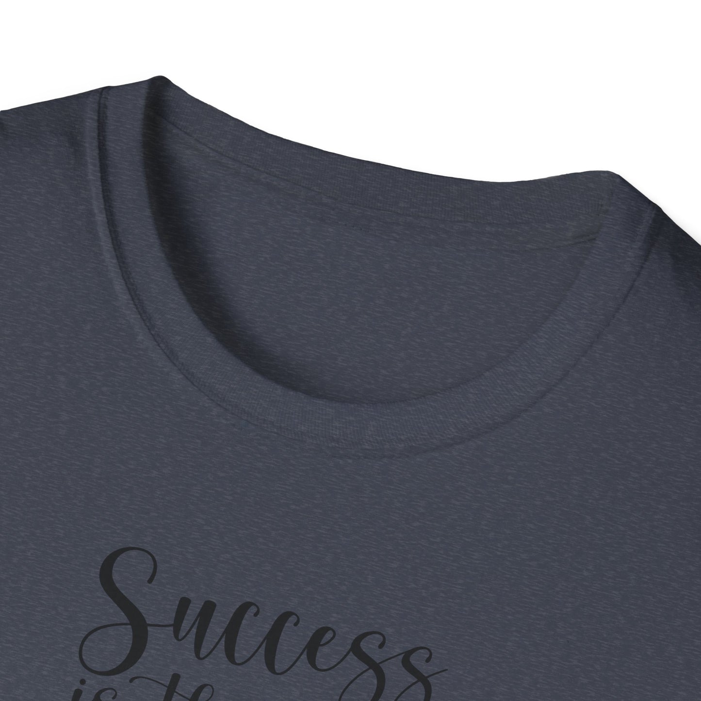 Success Is The Best Revenge