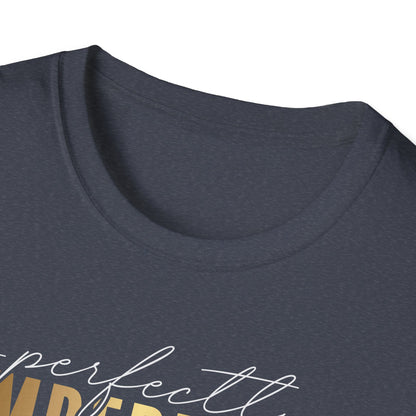 Perfectly Imperfect, Millionaire Mindset: Success Shirt, Money Mindset Shirt, Small Business Shirt, Entrepreneur Shirt, Success Mindset Shirt, Money Shirt, Boss Babe Shirt, Success Shirt, Addicted To Success T-Shirt